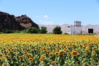 卡组构筑游戏《纵横命途》“侠盗危机”大型更新上线 Steam成就实装